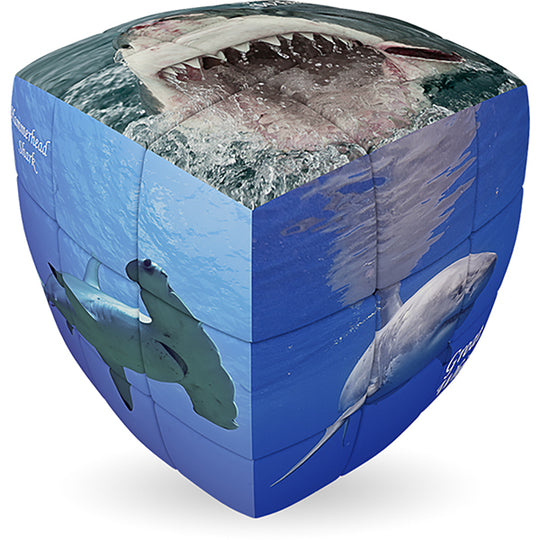 V-Cube SHARKS - 2 x 2 x 2 Pillow Cube