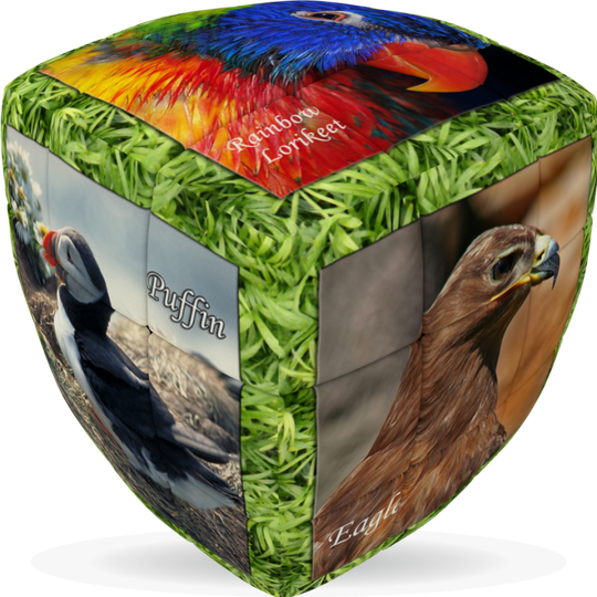 V-Cube 3 x 3 x 3 Unique Birds Pillow Cube